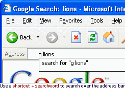 Use quick search add-ons to search directly from the address bar of your Microsoft Internet Explorer.